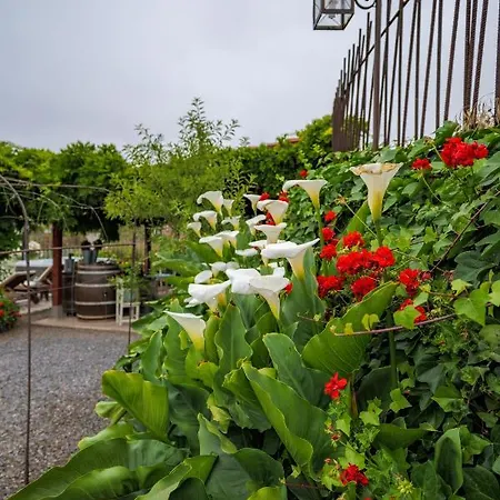 Casa Jacinta Con Jacuzzi Feriehus *