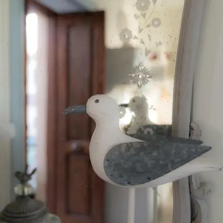 Tatil Evi Casa Jacinta Con Jacuzzi Costa Adeje