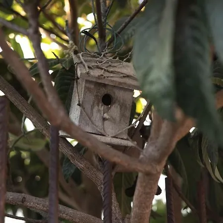Feriehus Casa Jacinta Con Jacuzzi *
